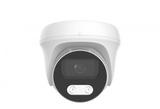 5MP Support Human-shape Detection, Intrusion Detection Full Color Fixed Conch Network camera